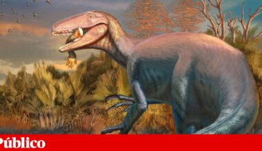 Novo dinossauro descoberto na Argentina. Fóssil tinha uma pata de crocodilo na boca | Paleontologia