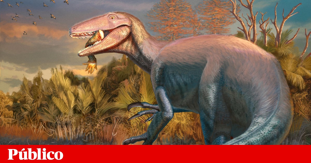 Novo dinossauro descoberto na Argentina. Fóssil tinha uma pata de crocodilo na boca | Paleontologia