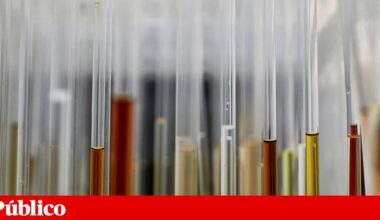 Mortes anuais por cancro no mundo podem chegar a 18,6 milhões em 2050 | Estudo