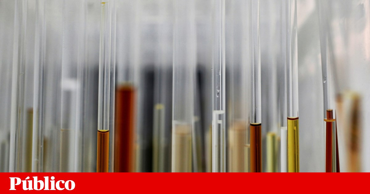 Mortes anuais por cancro no mundo podem chegar a 18,6 milhões em 2050 | Estudo