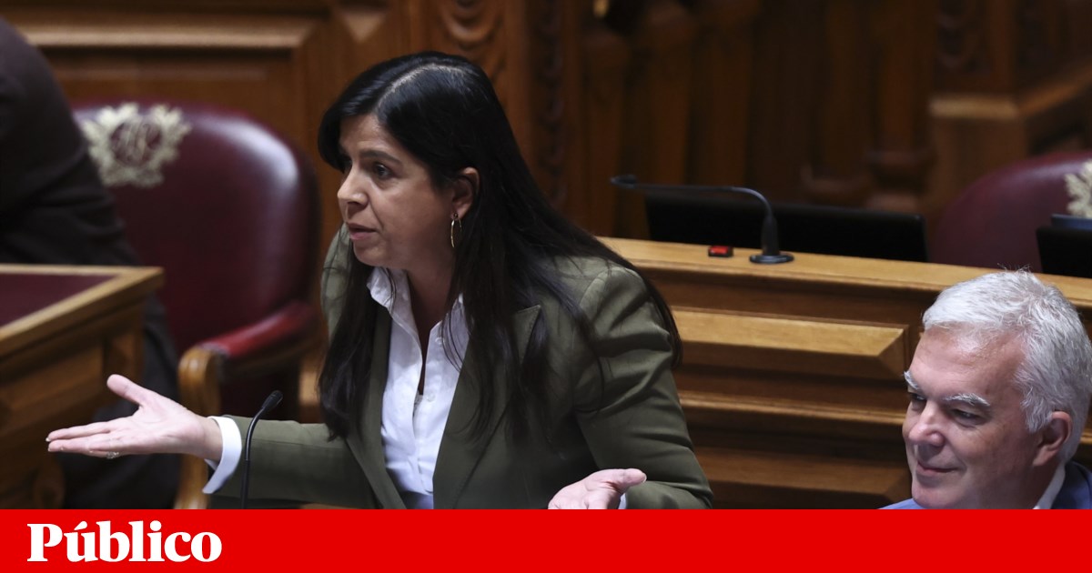 Sousa Real anuncia queixa por insultos de deputados Rita Matias e Rodrigo Taxa | Assembleia da República