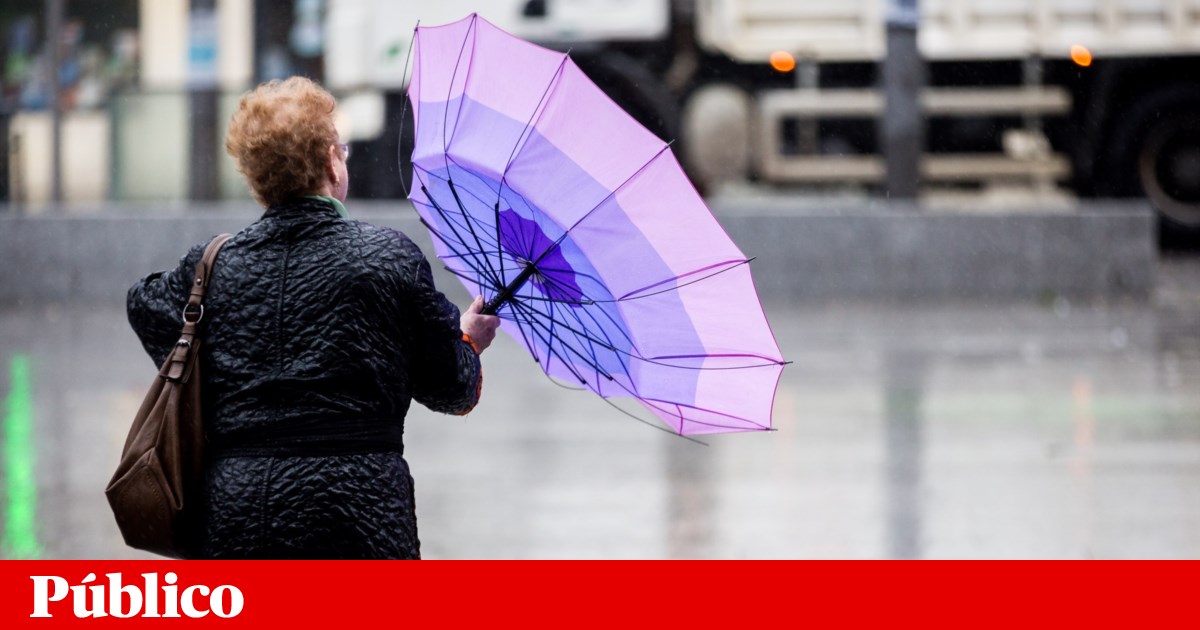 Gabrielle: Porto sob aviso laranja. Registadas 140 ocorrências no continente | Meteorologia