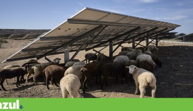 Governo Trump bane palavras ligadas a alterações climáticas | Ambiente
