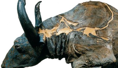 Há 40 anos, cientistas comeram um guisado de bisonte com 50 mil anos. "Estava delicioso"