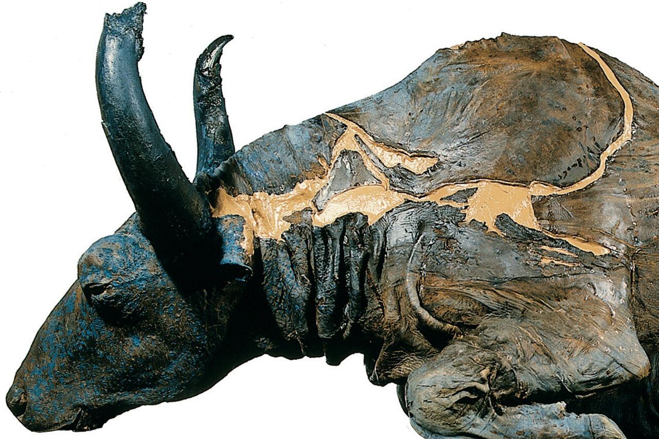 Há 40 anos, cientistas comeram um guisado de bisonte com 50 mil anos. "Estava delicioso"