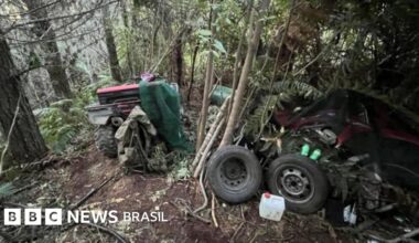 As primeiras imagens de local onde homem morto se escondia com filhos em floresta na Nova Zelândia