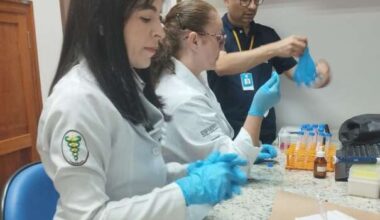 Novo exame com saliva detecta sífilis em bebês com 90% de precisão