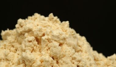 Boom de dietas com proteína impulsiona fabricantes de carnes e laticínios, mas pressiona gigantes de ultraprocessados