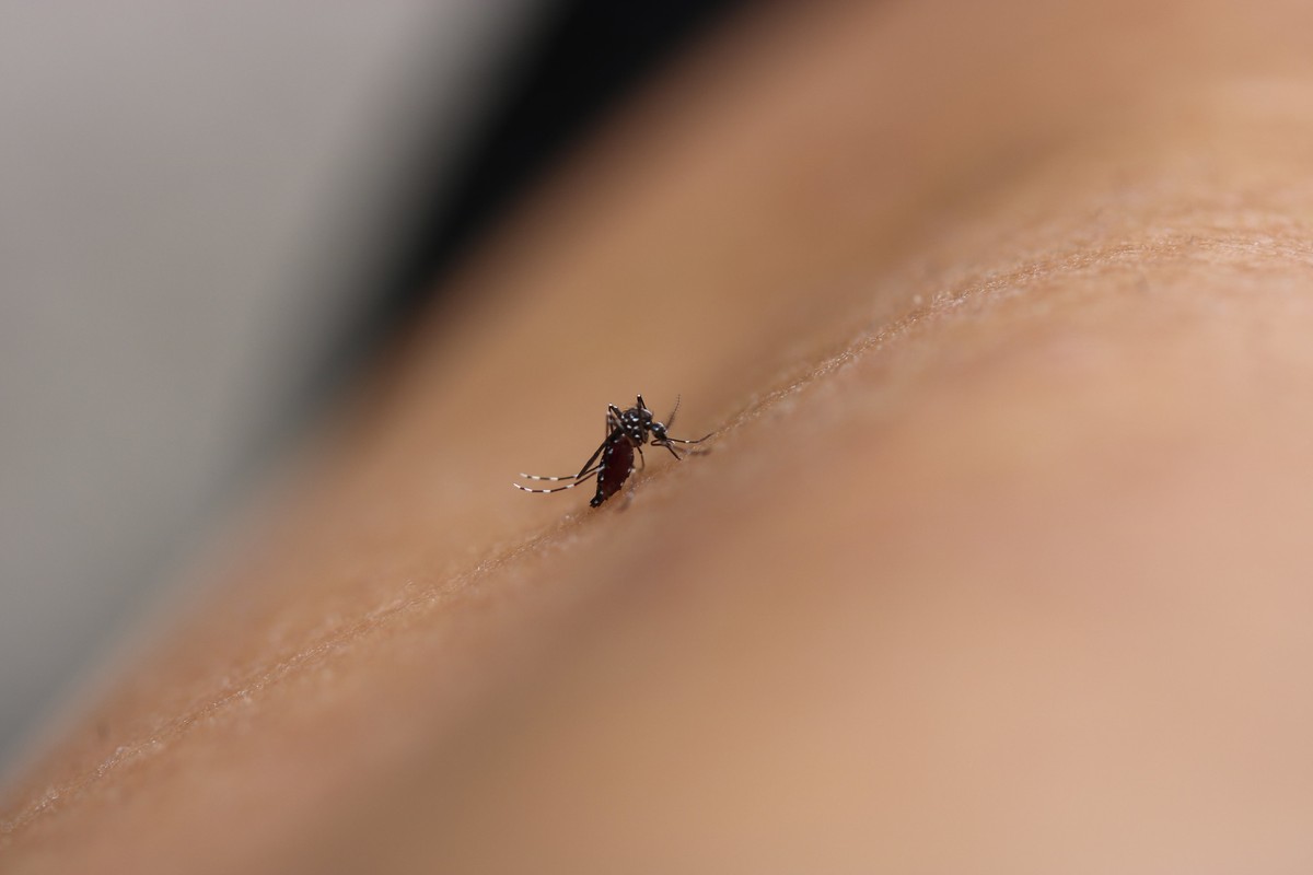 'É um problema em escala mundial', diz infectologista sobre a dengue