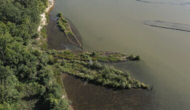Parecem ilhas: Ogivas e navios da II Guerra Mundial servem agora de berço à natureza