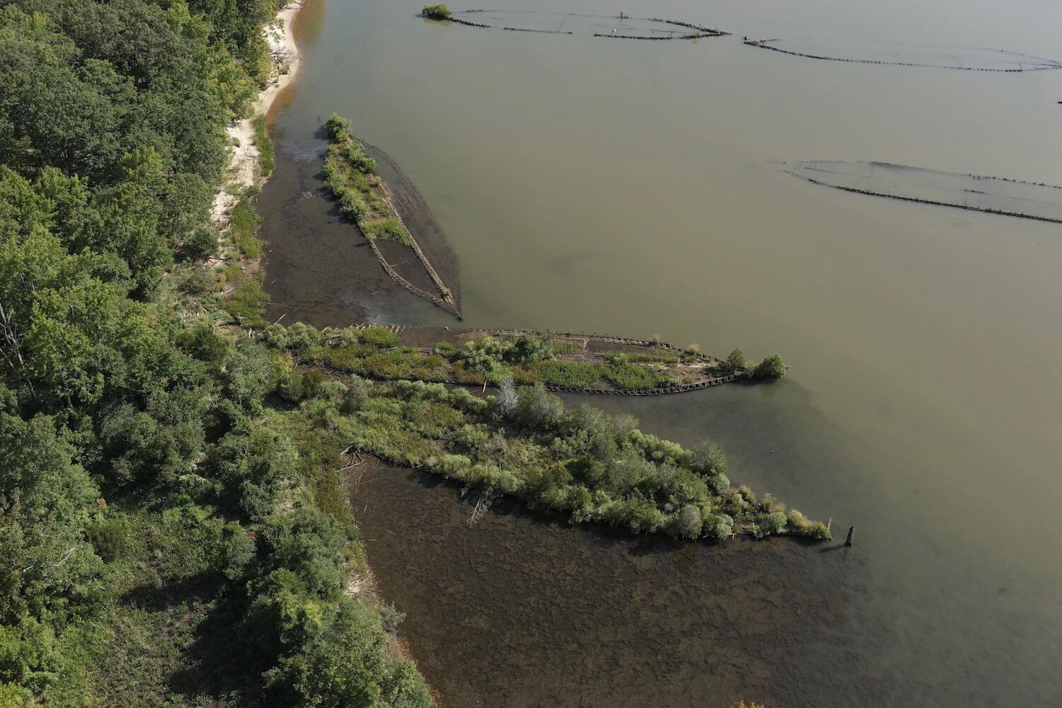 Parecem ilhas: Ogivas e navios da II Guerra Mundial servem agora de berço à natureza