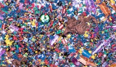 Microplásticos podem afetar a saúde dos ossos