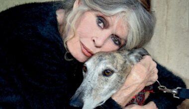 Aos 91 anos, Brigitte Bardot revisita vida e opiniões em livro 'abecedário' escrito à mão
