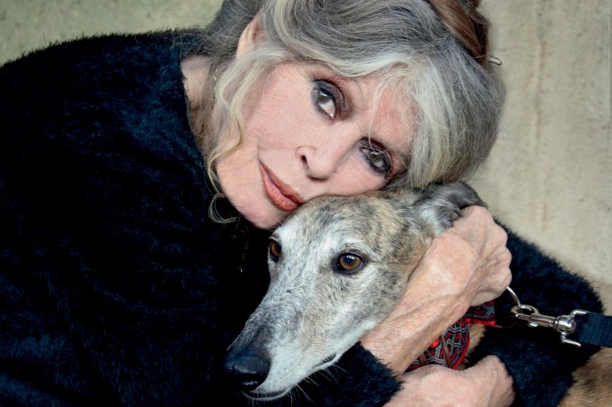 Aos 91 anos, Brigitte Bardot revisita vida e opiniões em livro 'abecedário' escrito à mão
