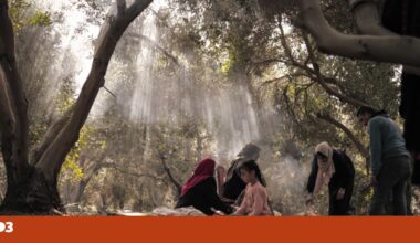 “Minha Querida Gaza”: exposição de fotografia não se cala diante do “genocídio em curso" | Fotogaleria