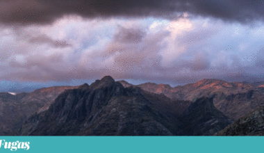 Uma “Última luz” sobre o Gerês e outras fotografias vencedoras dos prémios Iris | Fotogaleria
