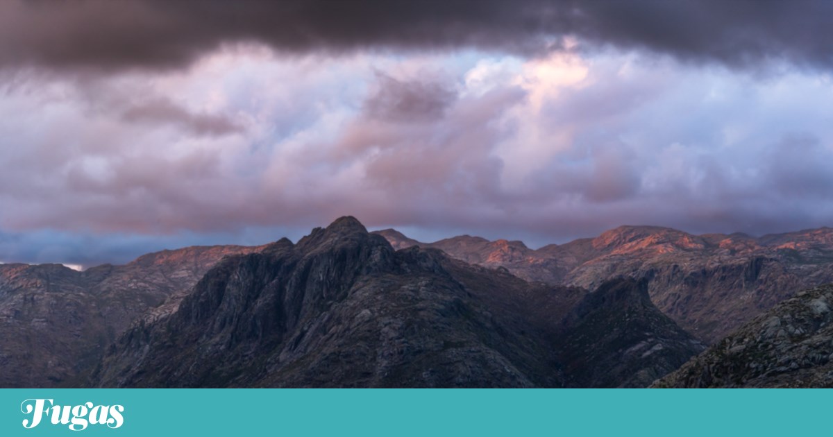 Uma “Última luz” sobre o Gerês e outras fotografias vencedoras dos prémios Iris | Fotogaleria
