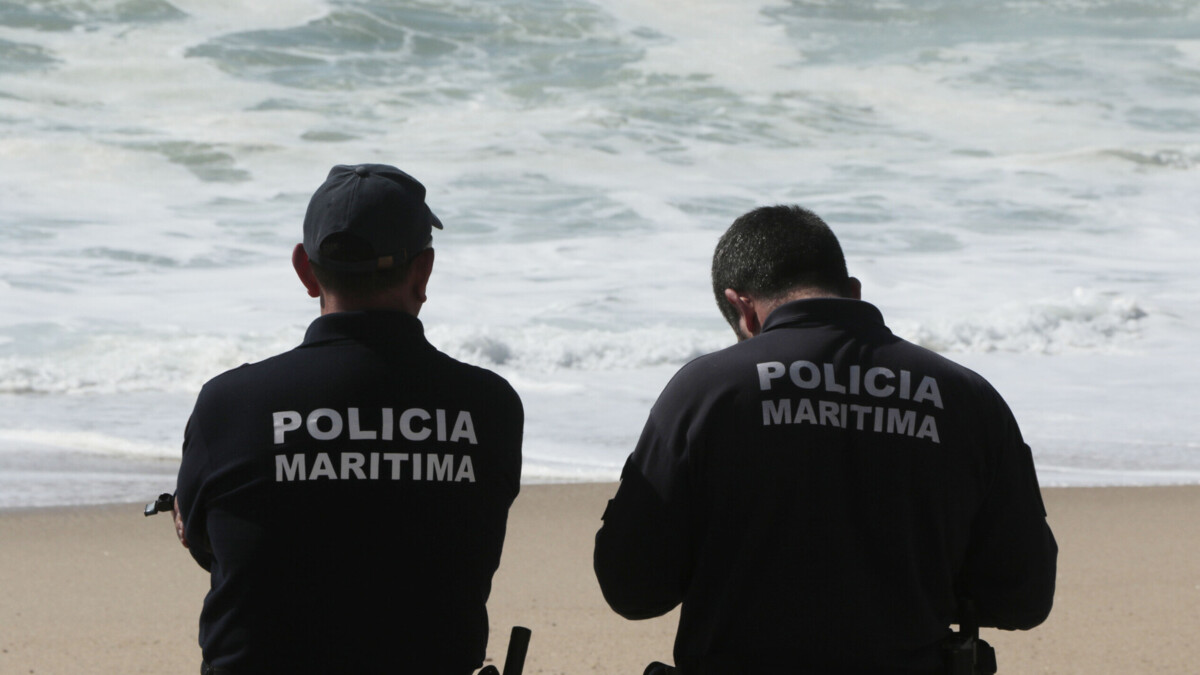 Jornal de Notícias Logo