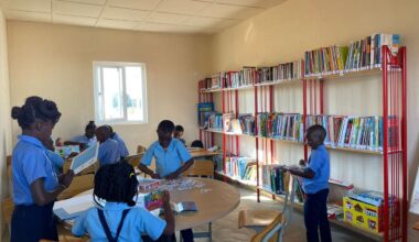 AIDGLOBAL Lança Quinto Livro Infantil Bilíngue em Moçambique • Diário Económico