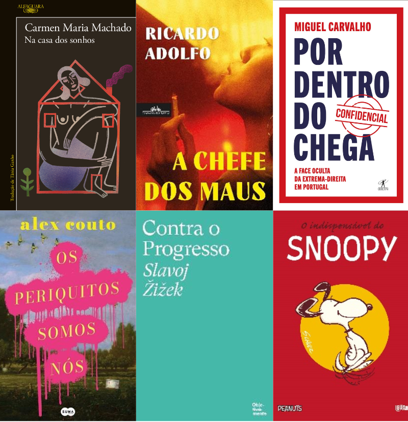 De "Por dentro do Chega" a "Manda msg qd chegares": Os lançamentos da Penguin Random House para o final de 2025