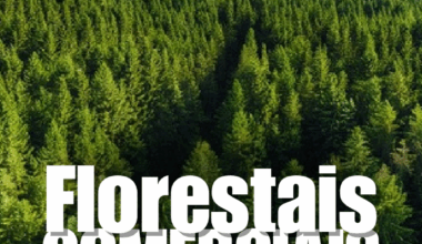 Udesc lança e-book com mapeamento inédito de florestas plantadas em Santa Catarina