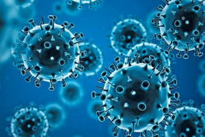 Estudo valida dois testes sorológicos Elisa para diagnóstico de Covid-19