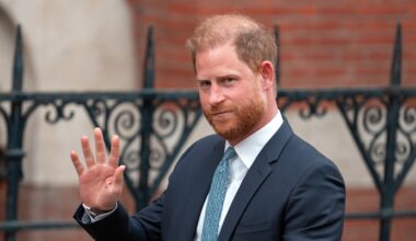 Príncipe Harry alfineta família real após encontro com Charles