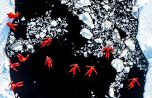 Nadadores na água gelada do Mar Báltico. A imagem foi uma das premiadas no concurso de fotos aéreas