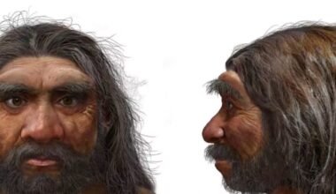 Crânio de um milhão de anos encontrado na China pode reescrever a história da evolução humana