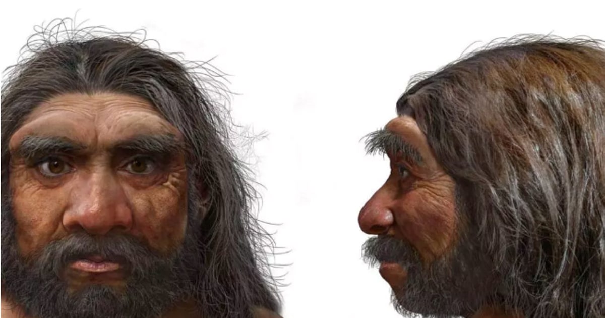 Crânio de um milhão de anos encontrado na China pode reescrever a história da evolução humana