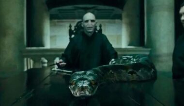 Harry Potter: Lord Voldemort teve uma filha? Descubra!