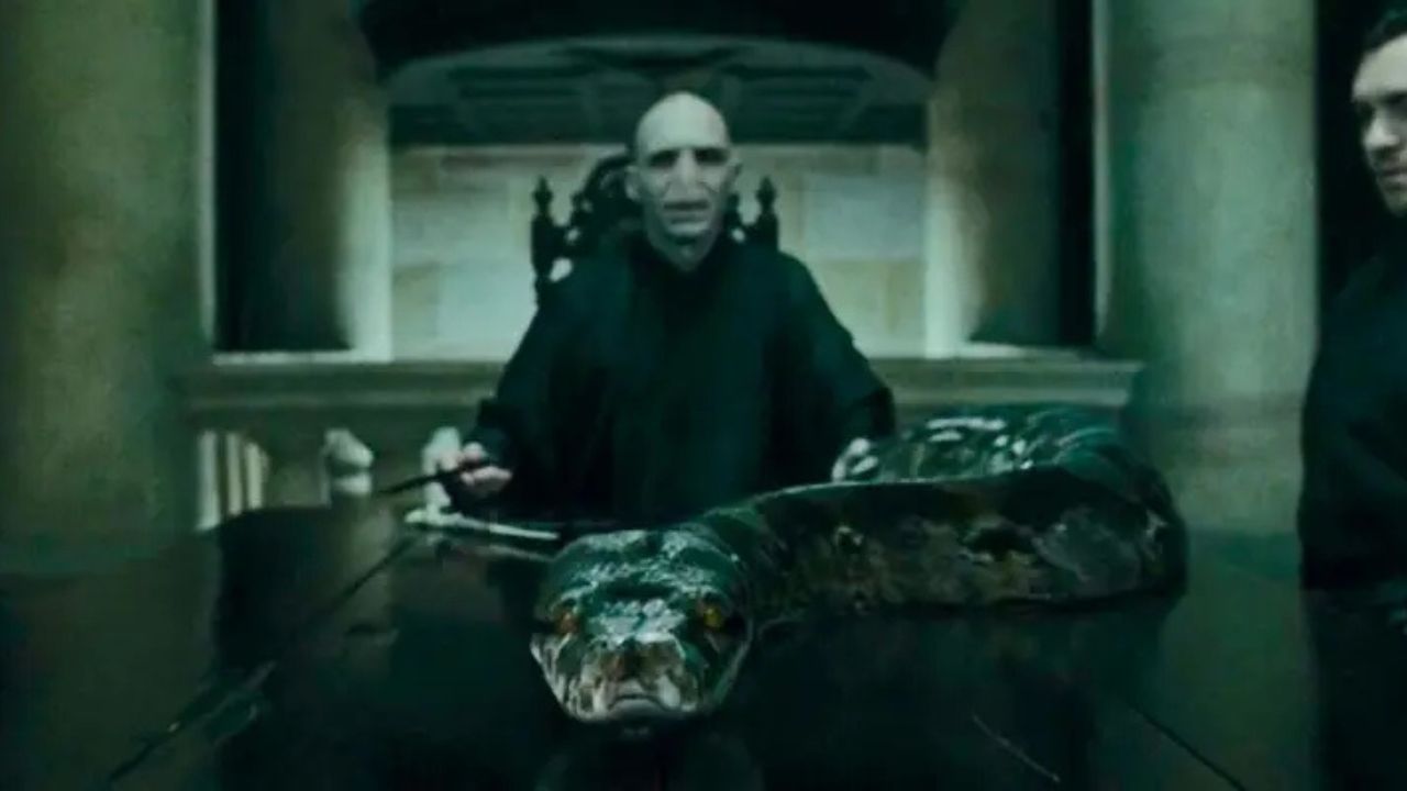 Harry Potter: Lord Voldemort teve uma filha? Descubra!