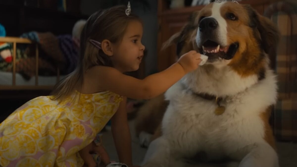 Sessão da Tarde hoje: qual o filme desta terça-feira (16/09)