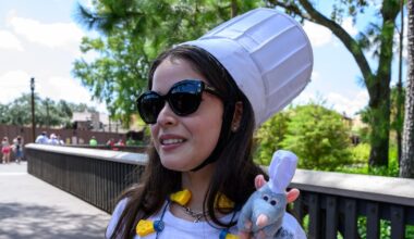 Aceitem, orelhinhas de Mickey: os loucos por Disney têm uma nova obsessão