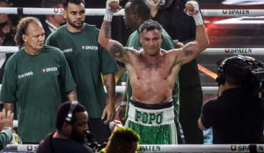 Poatan busca terceiro reinado no UFC (Foto: Divulgação UFC)