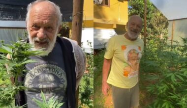 Ricardo Petraglia ator de A Viagem e História de Amor plantação de maconha