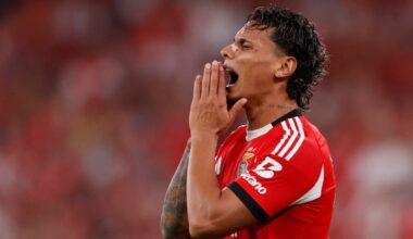 O Benfica eliminou o Fenerbahçe da Champions League (Foto: PATRICIA DE MELO MOREIRA / AFP)