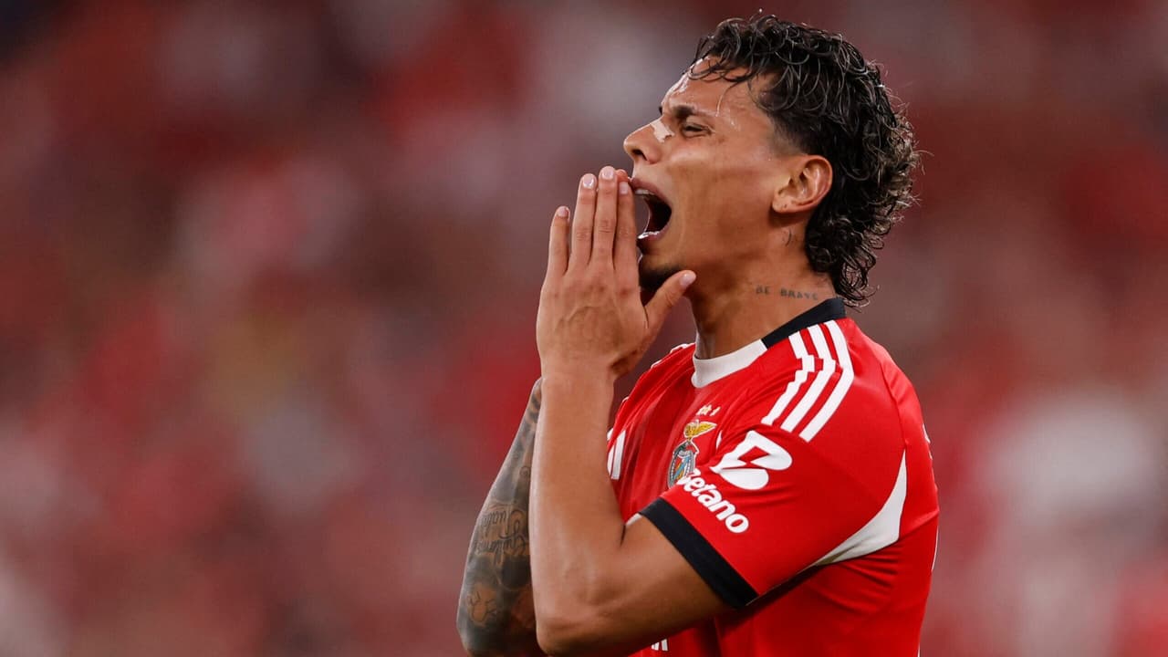 O Benfica eliminou o Fenerbahçe da Champions League (Foto: PATRICIA DE MELO MOREIRA / AFP)