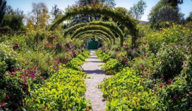 Monet criou um lugar de inspiração eterna na Normandia, em França