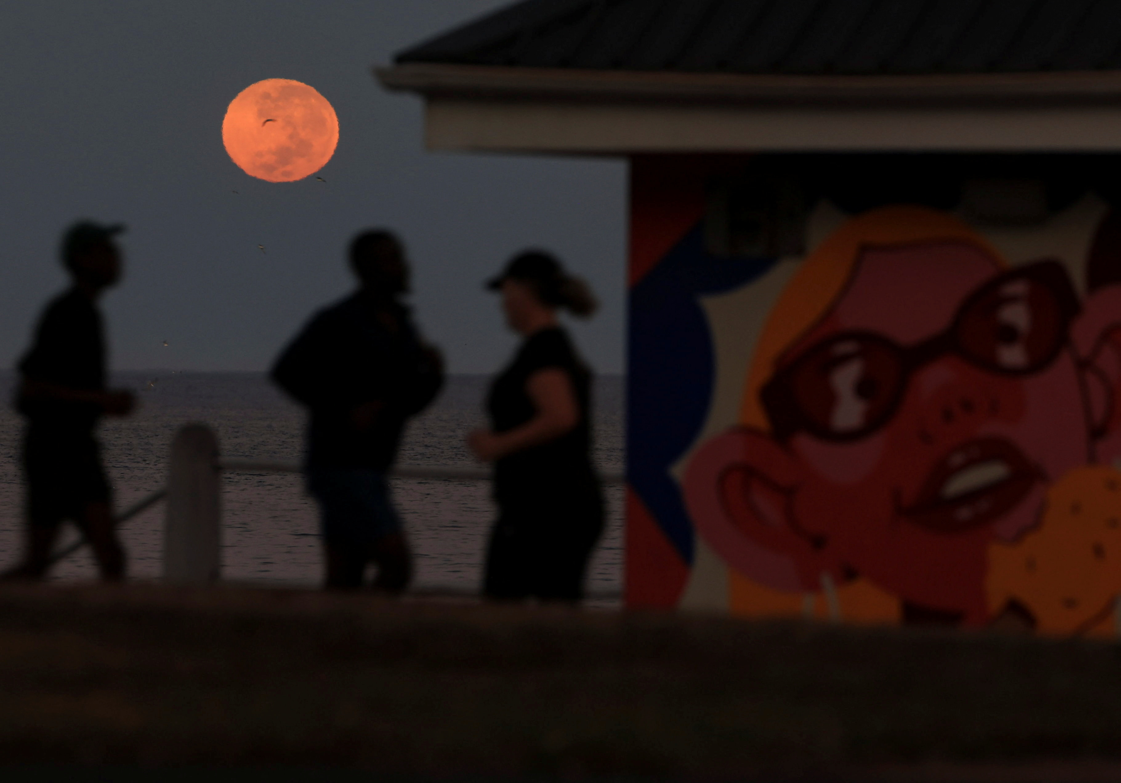 eclipse lunar africa do sul