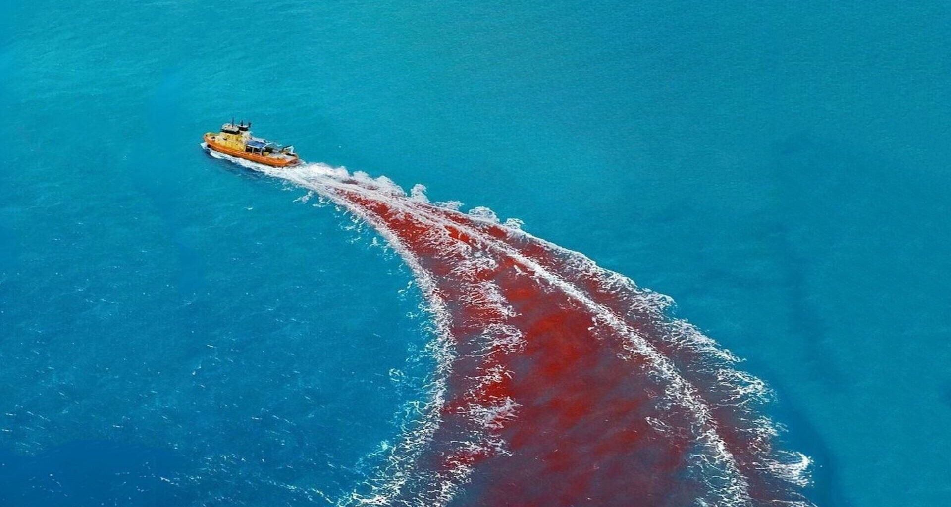 Crítica | 'Animais Perigosos' subverte as fórmulas em um eficiente thriller de sobrevivência