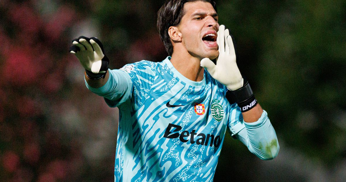 Regressos, estreias e «grande reação»: jogadores do Sporting e a reviravolta