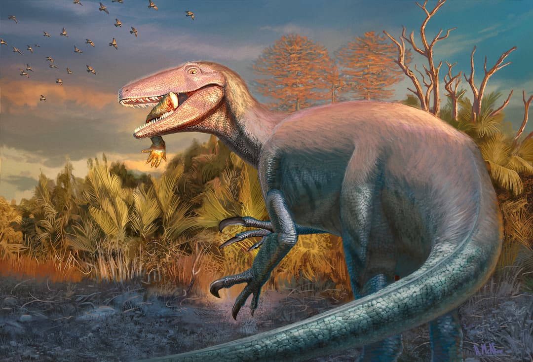 Joaquinraptor, o novo dinossauro que foi descoberto com um crocodilo delicioso ainda na boca