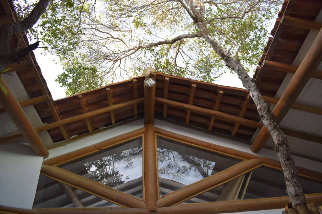 Casa pátio de praia na Bahia foi erguida em torno das árvores. Projeto de Mari Grobério. Na foto, estrutira em woodframe.