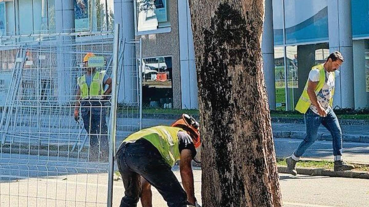 Notícias Ilimitadas