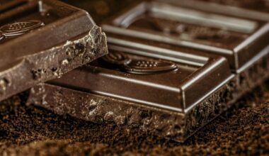 Os compostos do chocolate podem ajudar a retardar o envelhecimento? Cientistas sugerem que sim