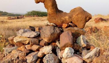 Dia do trabalhador homenageia cavalos que ajudaram a construir a América