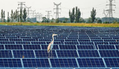 Quem mudou para mercado livre de energia poupou 207 euros em 2024 - Diário de Notícias