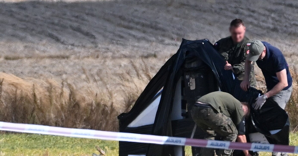 Teste à defesa da NATO horas antes de se iniciar exercício militar russo junto à fronteira da Polónia - Diário de Notícias