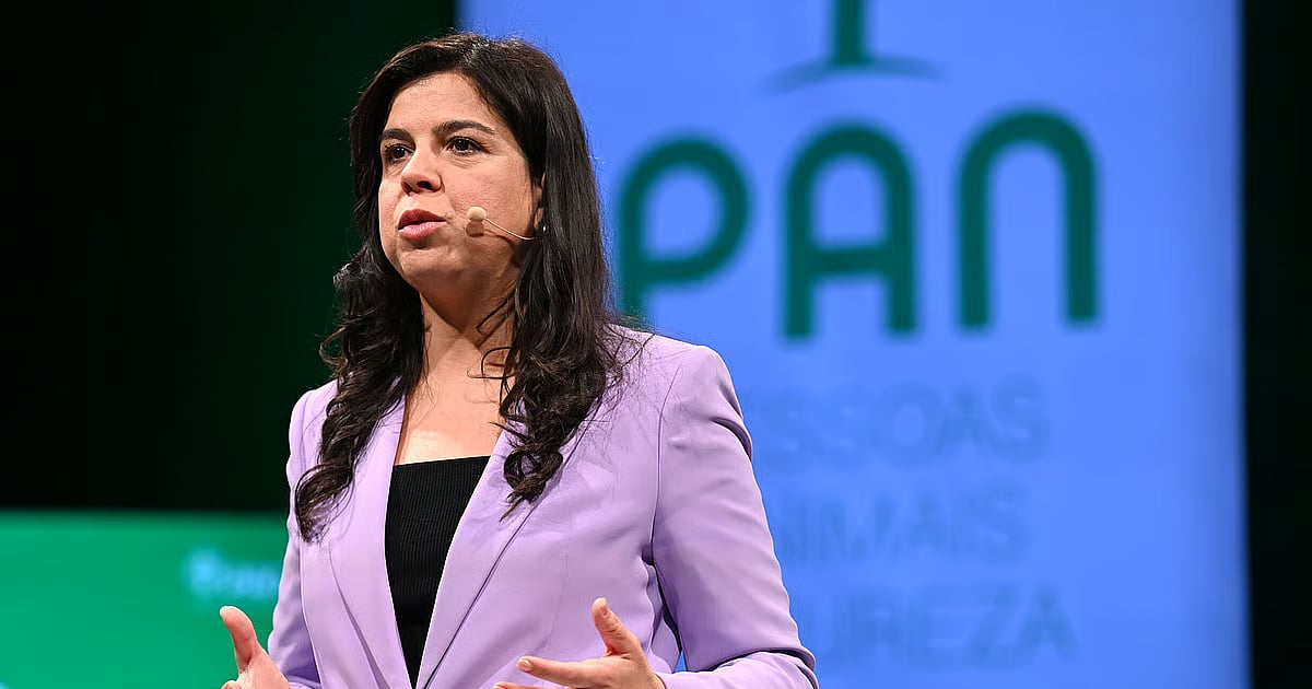 Sousa Real anuncia queixa contra deputados do Chega. Diz ter sido chamada de "asquerosa" e "miséria humana"